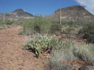 Elephant Mountain hike