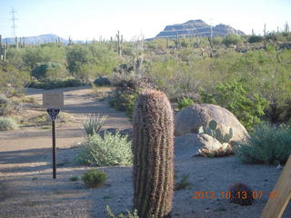 Brown's Ranch run - Cholla Mountain