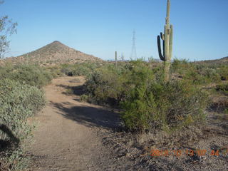 Brown's Ranch run - Cone Mountain