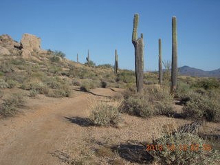 Brown's Ranch run - Brown's Mountain