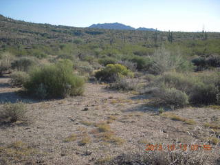 Brown's Ranch run - Cone Mountain