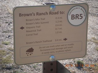 Brown's Ranch run - cholla cactus