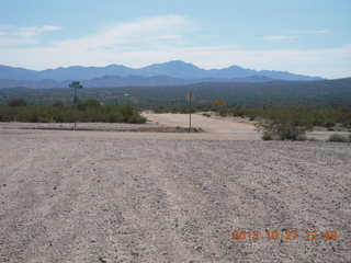 Alamo Lake - Wayside