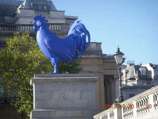 114 8ew. London - blue cock