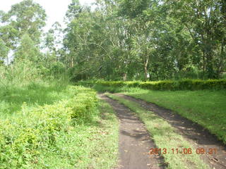 39 8f6. Uganda - Tooro Botanical Garden
