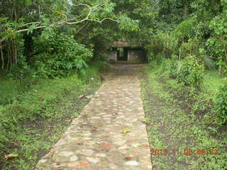 62 8f6. Uganda - Tooro Botanical Garden