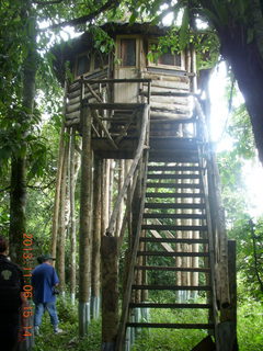 201 8f6. Uganda - Primate Lodge Kabile chimpanzee park - treehouse