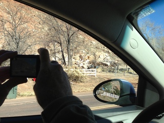 Rockville rockslide - taking a picture