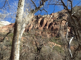 96 8gt. Zion National Park