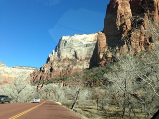 Zion National Park - mule deer