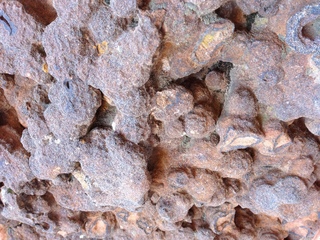 Zion National Park - Angels Landing hike - rock texture