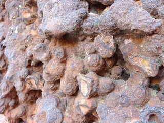 124 8gt. Zion National Park - Angels Landing hike - rock texture