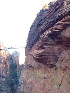 Zion National Park - Angels Landing hike - panorama