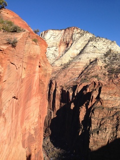 Zion National Park - Angels Landing hike - rock texture