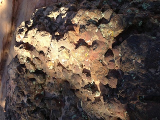 140 8gt. Zion National Park - Angels Landing hike - texture in rock