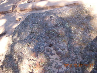 Zion National Park - Angels Landing hike - rock texture