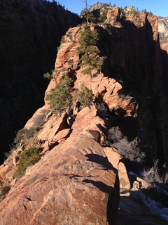 Zion National Park - Angels Landing hike - texture in rock