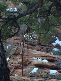 Zion National Park - Angels Landing hike - descending - Adam sitting