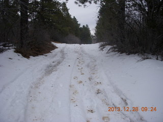 11 8gu. Zion National Park - Cable Mountain hike