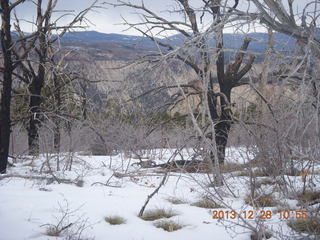 27 8gu. Zion National Park - Cable Mountain hike