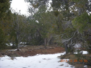 29 8gu. Zion National Park - Cable Mountain hike