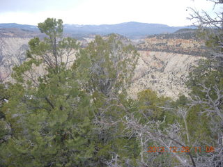 32 8gu. Zion National Park - Cable Mountain hike