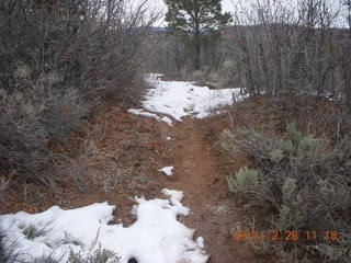 37 8gu. Zion National Park - Cable Mountain hike