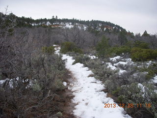 38 8gu. Zion National Park - Cable Mountain hike