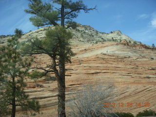 170 8gu. Zion National Park drive - cool scramble-up rock