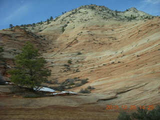 Zion National Park drive - cool scramble-up rock