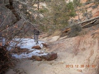 Zion National Park drive - petroglyphs - Brian