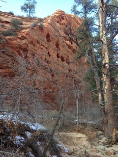 Zion National Park drive - petroglyphs