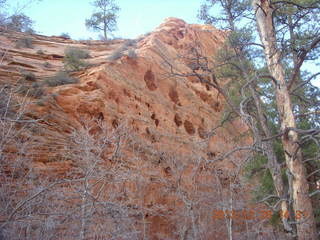 Zion National Park drive - petroglyphs