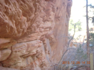 179 8gu. Zion National Park drive - petroglyphs