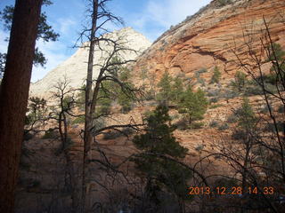 Zion National Park drive - petroglyphs