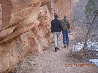 Zion National Park drive - petroglyphs