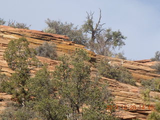 Zion National Park drive - petroglyphs