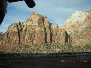 Zion National Park drive - big horn sheep