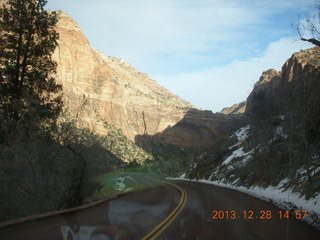 Zion National Park drive - big horn sheep