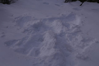 275 8gu. Zion National Park - Cable Mountain hike - Brian's snow angel