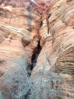 Cave Valley hike - our echo cave - Brian coming down