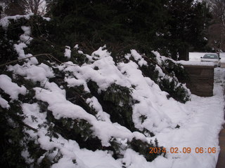 530 8j9. snow in walkway with downed tree Betsy's house