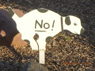 NO! puppy dog poop warning