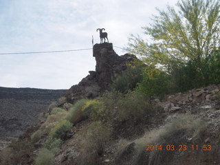 drive to Desert Bar near Parker - Lake Havasu Dam - big horn sheep