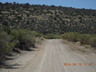 Bagdad run - Adam top
