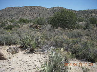 Bagdad hike (my old running loop)