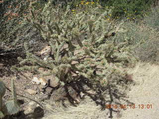 Bagdad hike (my old running loop)