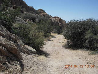 Bagdad hike (my old running loop) - cactus