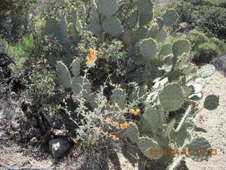 Bagdad hike (my old running loop)