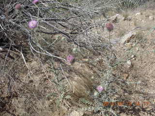 Bagdad hike (my old running loop)